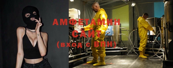 прущие грибы Дмитровск