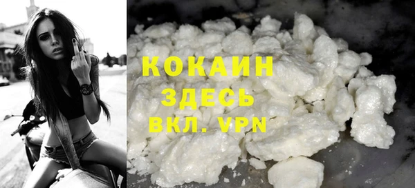 тгк Дмитров