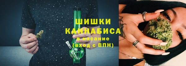 тгк Дмитров