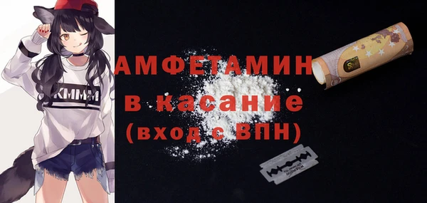 твердый Дмитриев