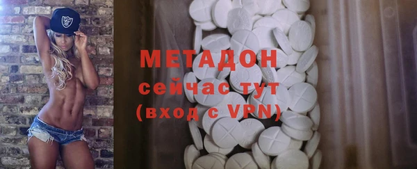 прущие грибы Дмитровск