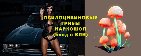 прущие грибы Дмитровск