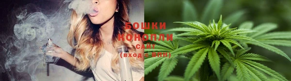тгк Дмитров