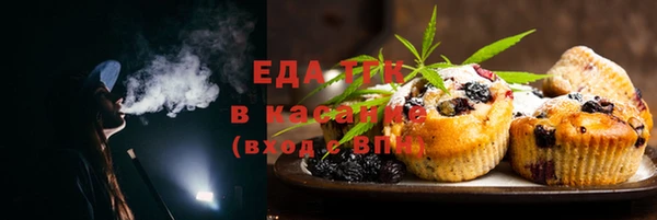 тгк Дмитров