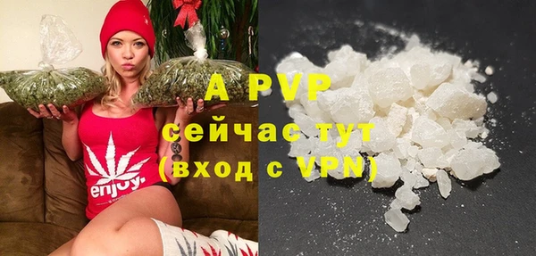 прущие грибы Дмитровск