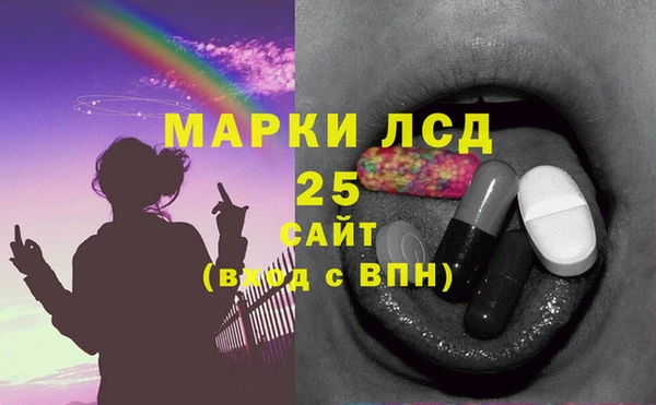 прущие грибы Дмитровск