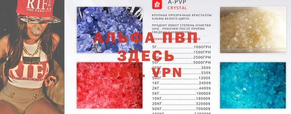 прущие грибы Дмитровск