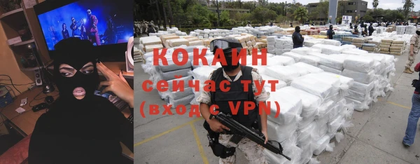 твердый Дмитриев
