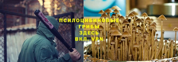 тгк Дмитров