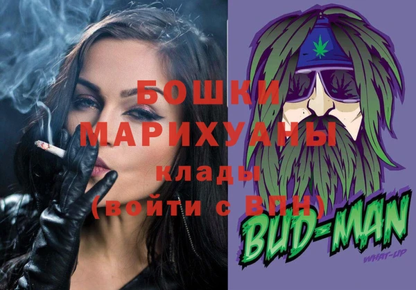 прущие грибы Дмитровск